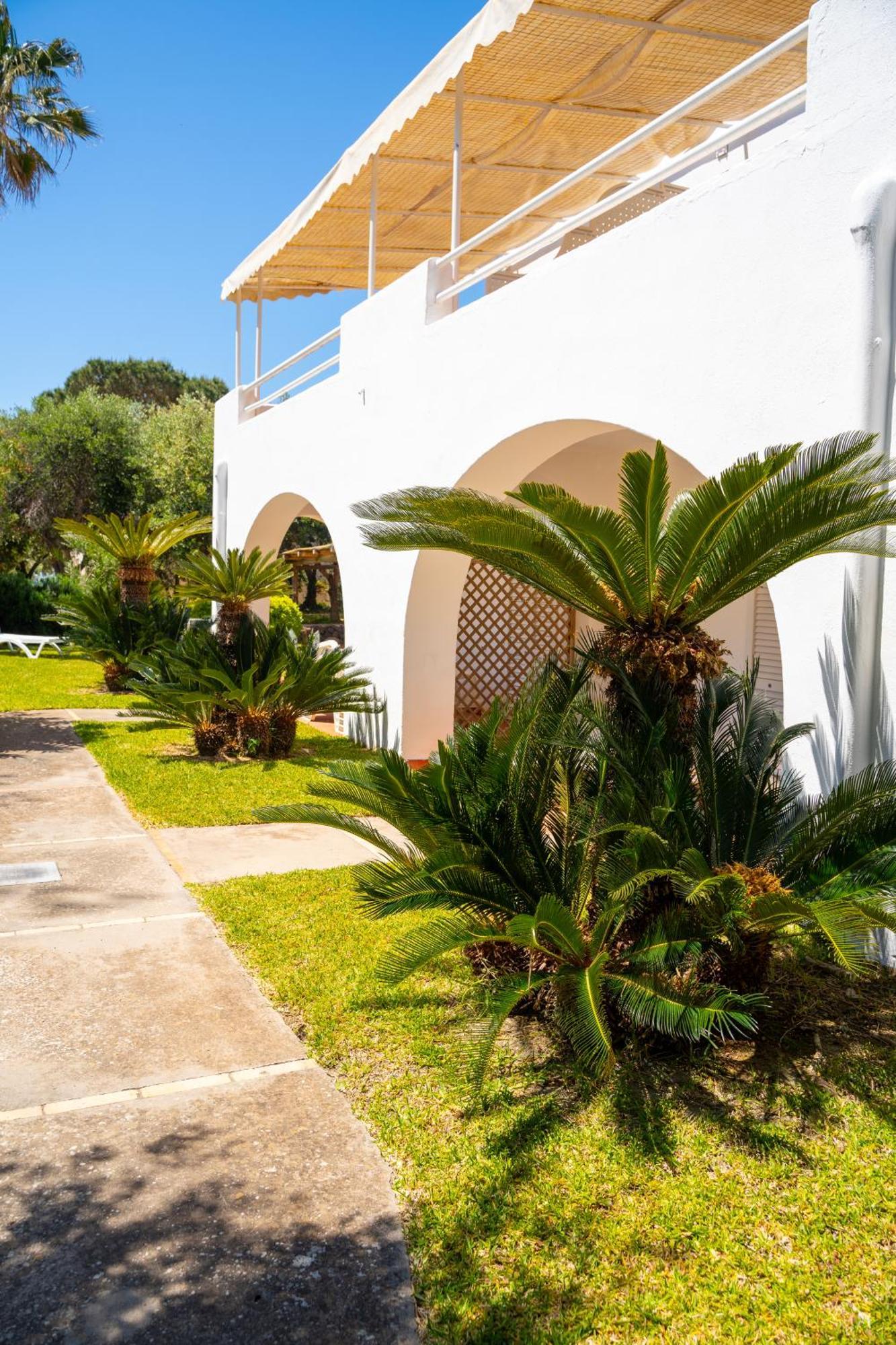 Residence Palummera Ischia Eksteriør billede