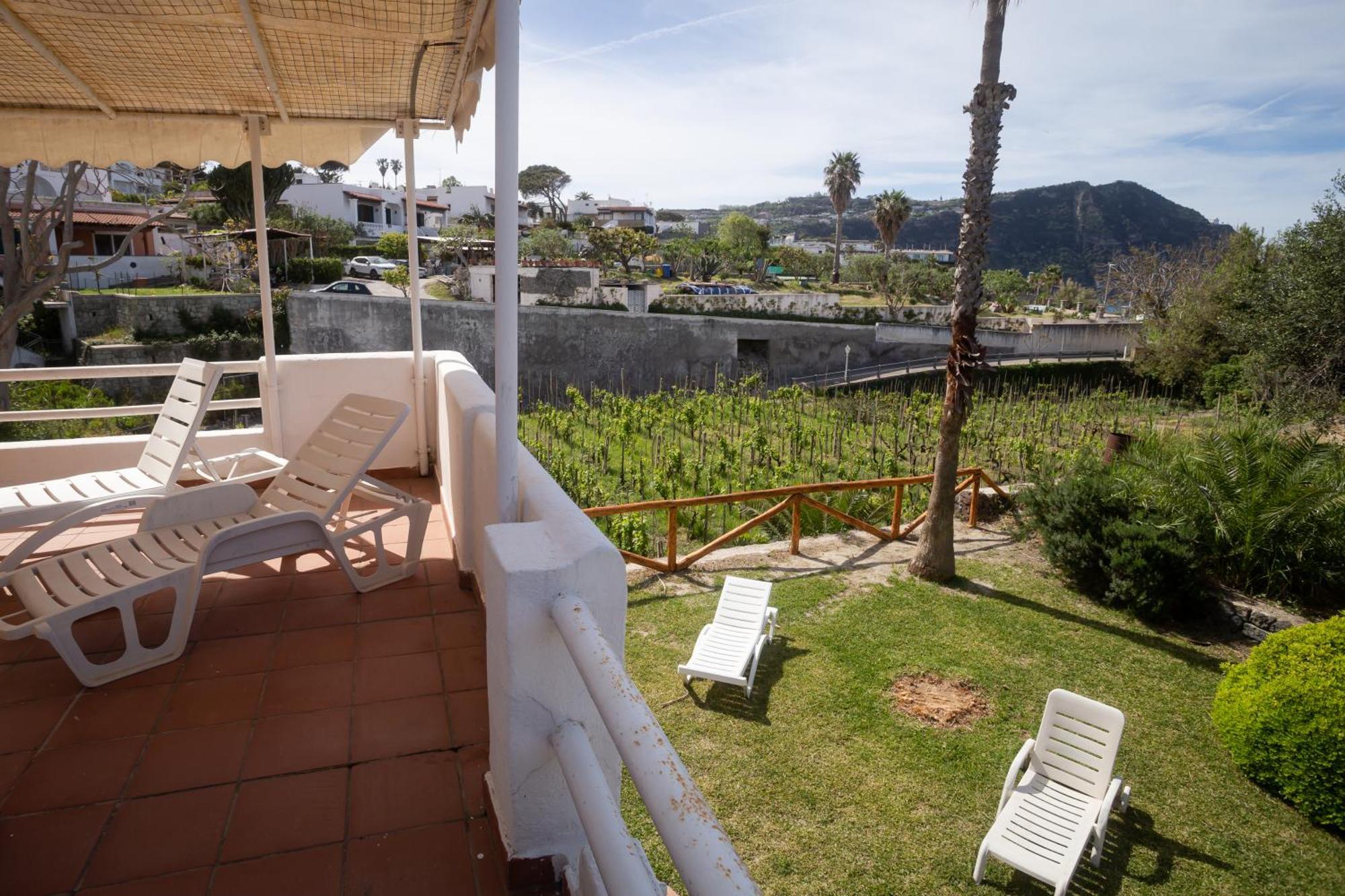 Residence Palummera Ischia Eksteriør billede